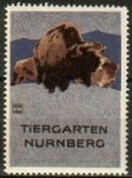 Nurnberg Tiergarten Bison Var B Hohlwein