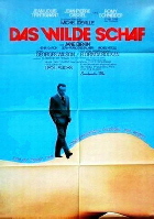 01355 Das wilde Schaf